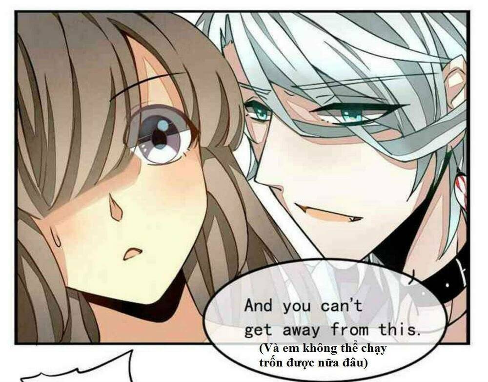 vị hôn thê bỏ trốn chapter 1 28