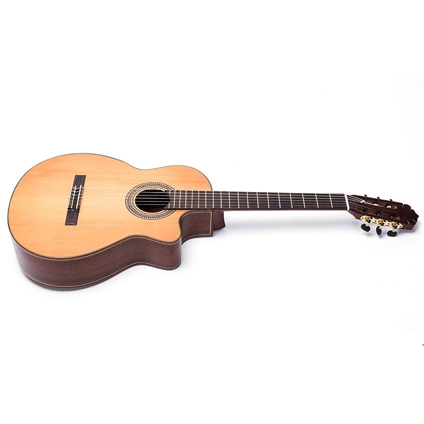 Đàn Guitar Classic DC450J guitar Việt Nam