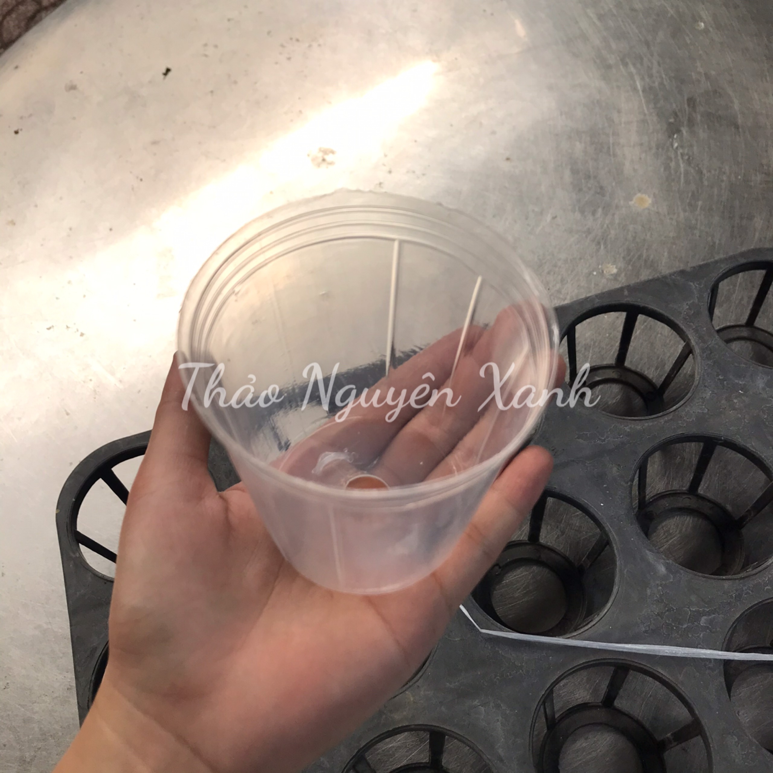 Chậu nhựa dẻo trồng lan hồ điệp 2.5 inch