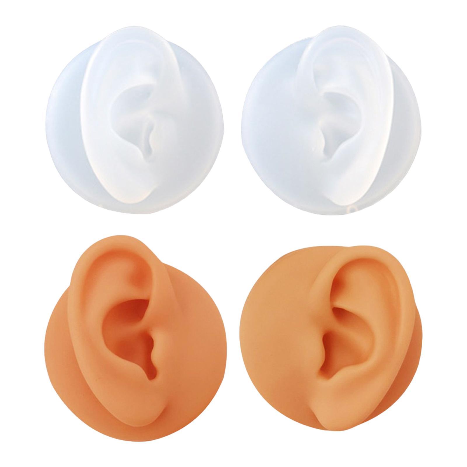 Silicone Ear Model High Simulation Ear Models Right Left for Salon Shop 4pcs