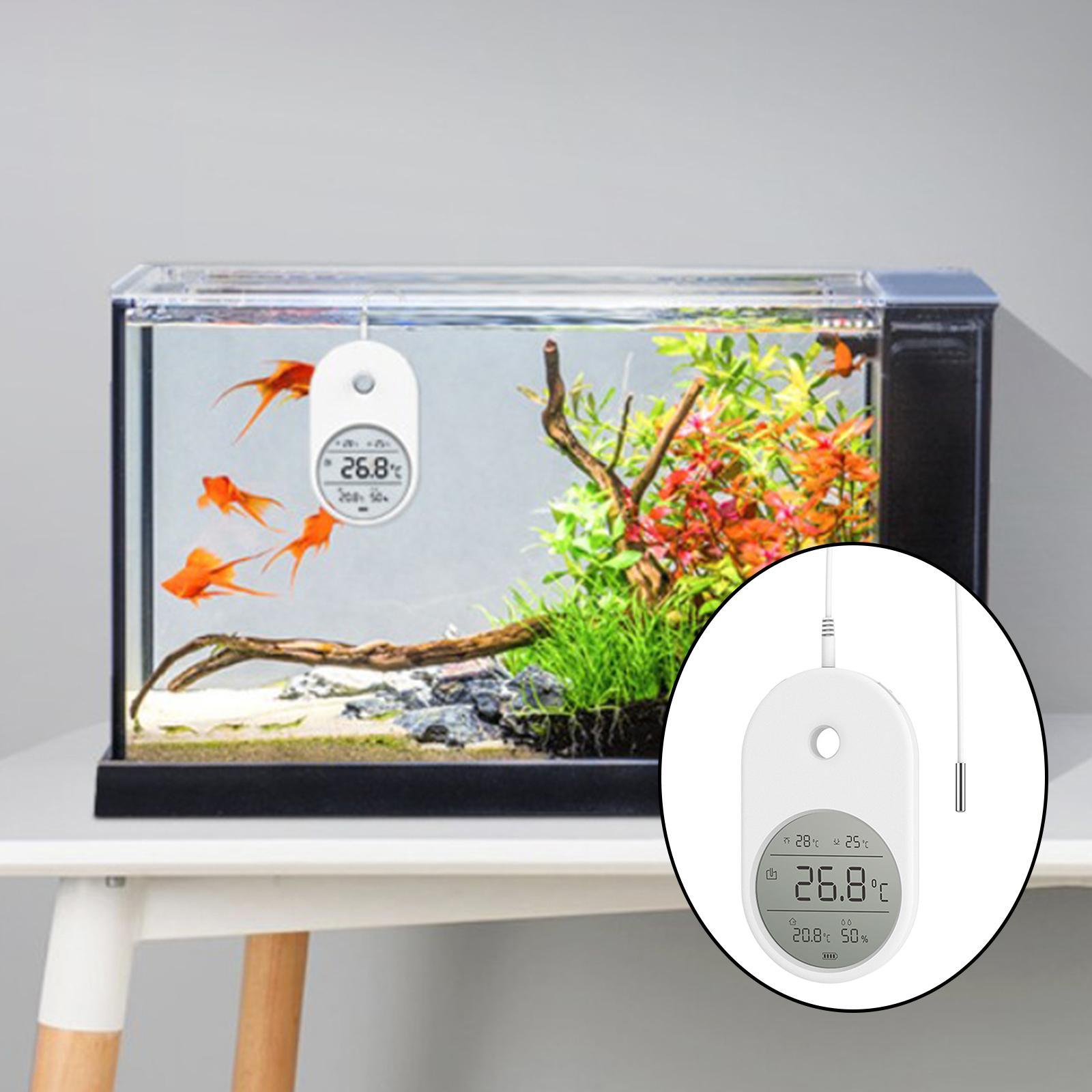 LCD Aquarium Temperature for Amphibians