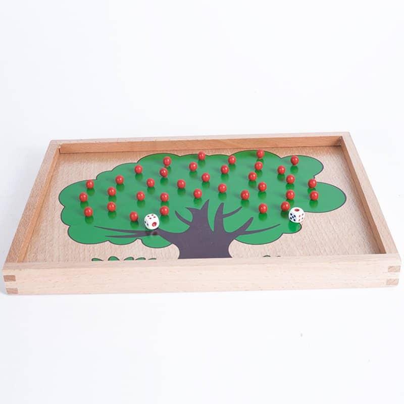 Bài học đếm táo Montessori