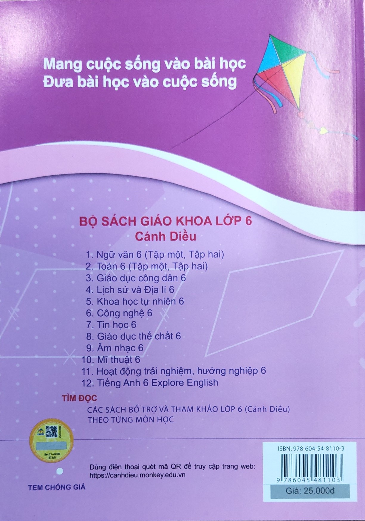 Bài tập Toán lớp 6 Tập 2 (Bộ sách Cánh Diều)