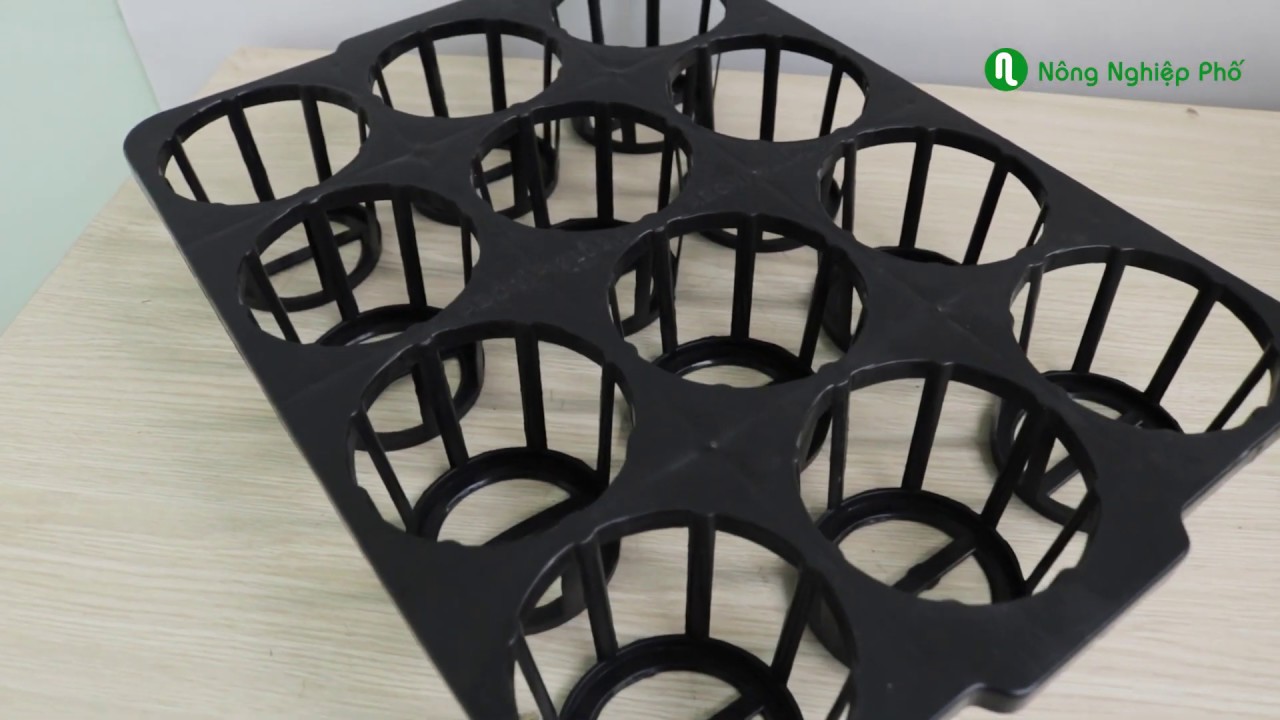 Khay đựng Lan Hồ Điệp 12 lỗ