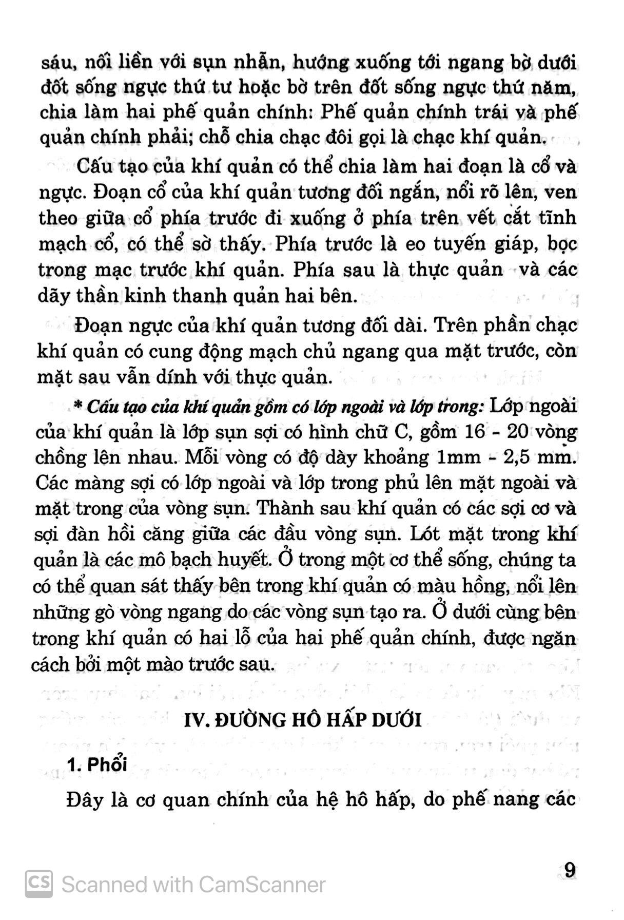 Cây Thuốc Vị Thuốc Phòng Chữa Bệnh Hô Hấp