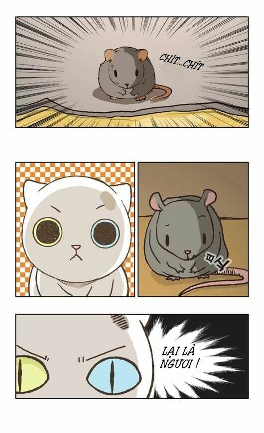 papi nyang chapter 3 20