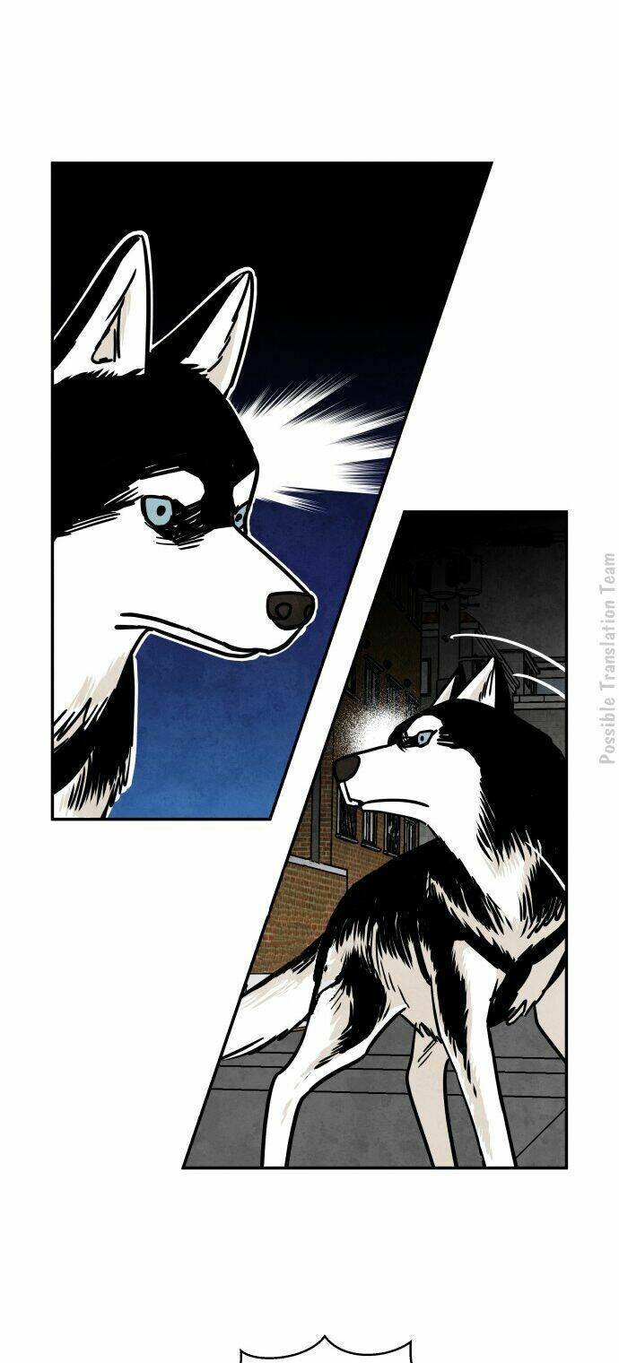 tai sói và mũ đỏ chapter 28 37