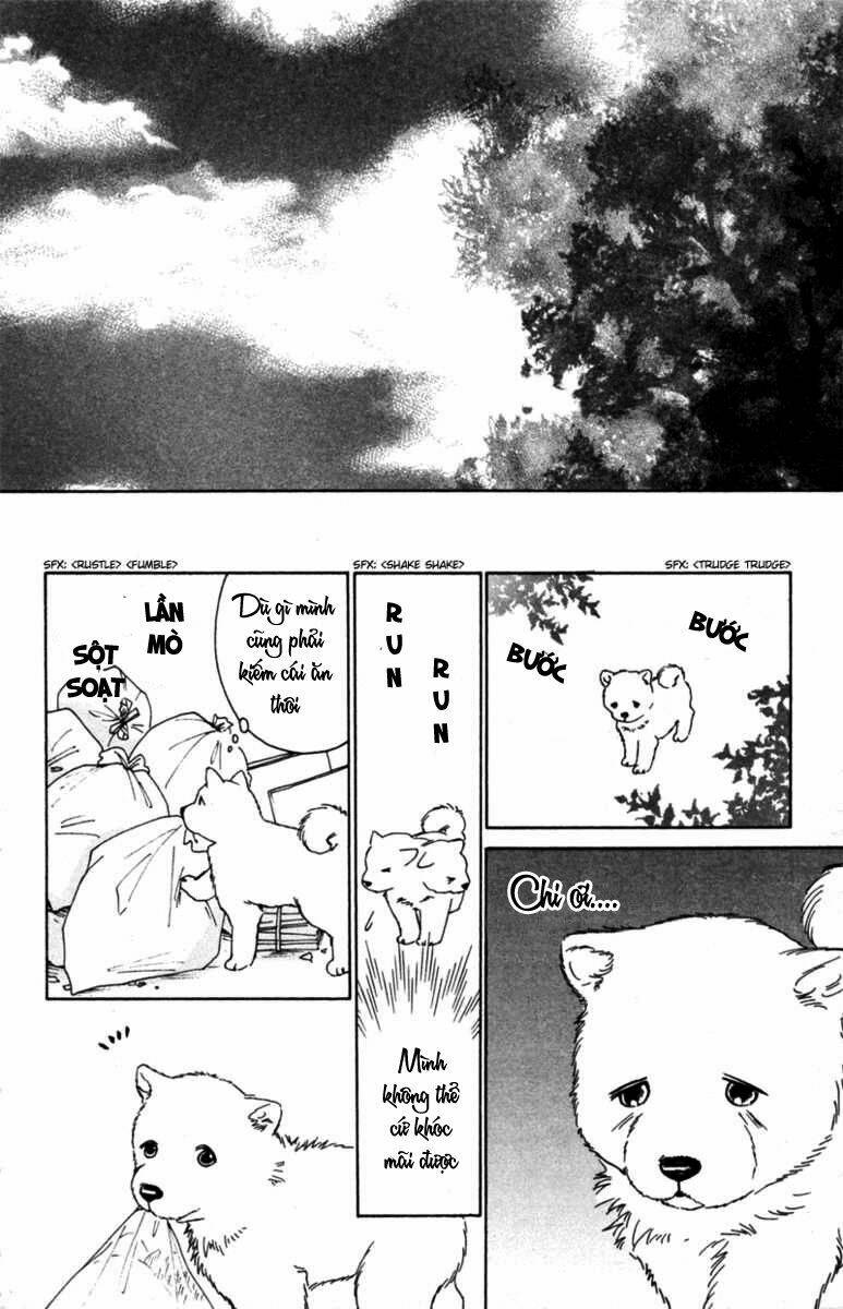 deep love - pao no monogatari chapter 6 3