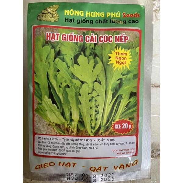 Hạt giống cải cúc nếp