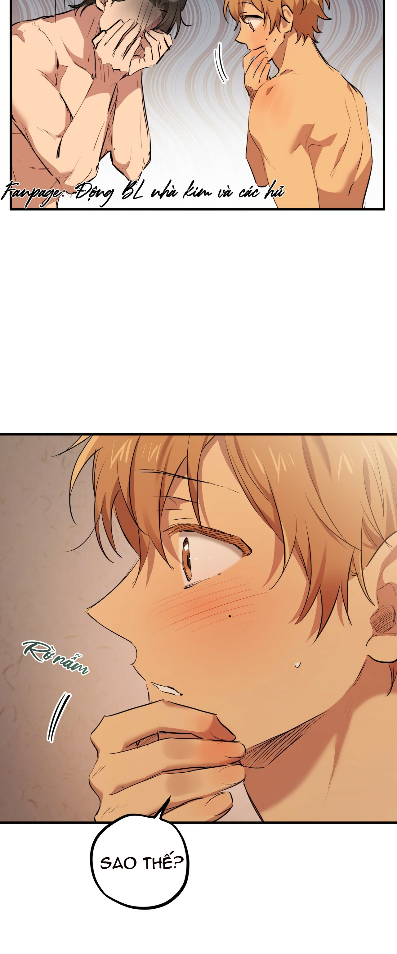 những chú thỏ của hapypy chapter 27 4