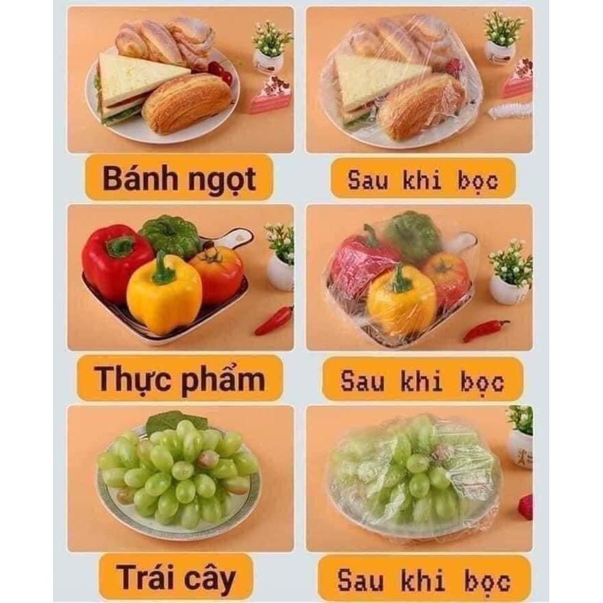 Set 100 túi bọc THỰC PHẨM CÓ CHUN CO DÃN đa năng