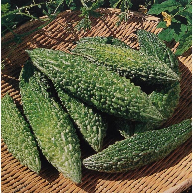 Khổ Qua trái xanh