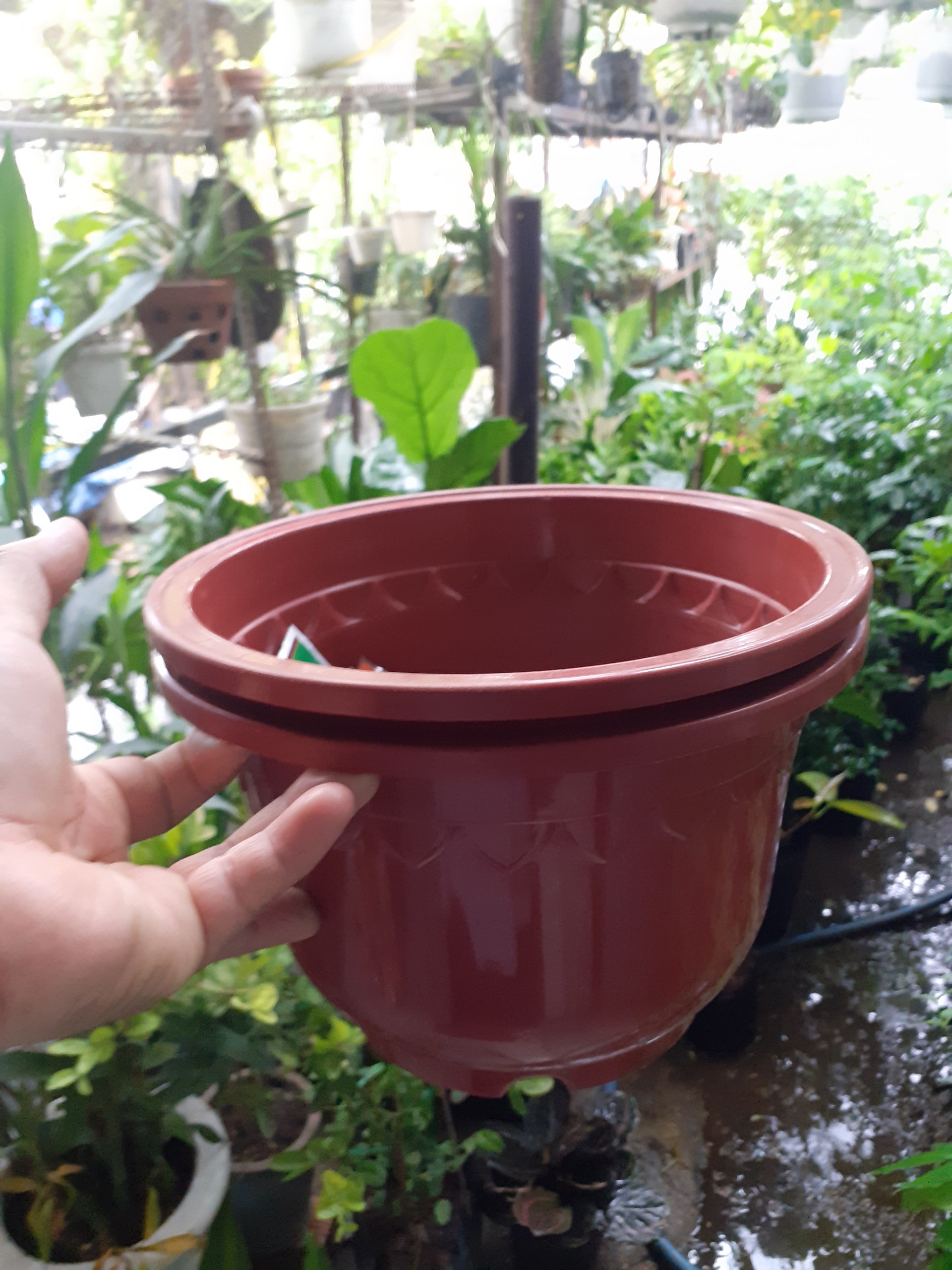 1 cái Chậu nhựa Tròn đỏ Đô dày bền trồng cây.
