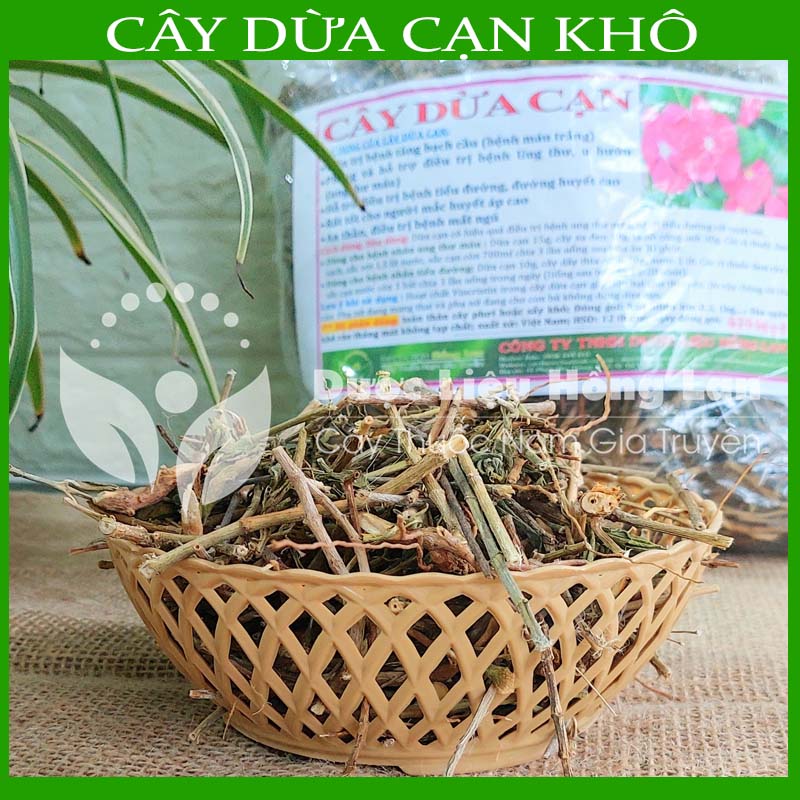 Cây Dừa Cạn khô sạch đóng gói 1kg