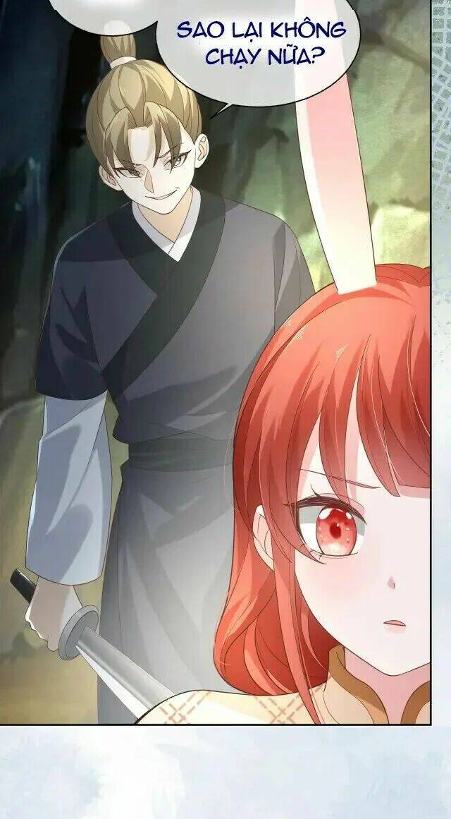 hắc hóa nam chính trực tuyến nuôi thỏ chapter 42 19