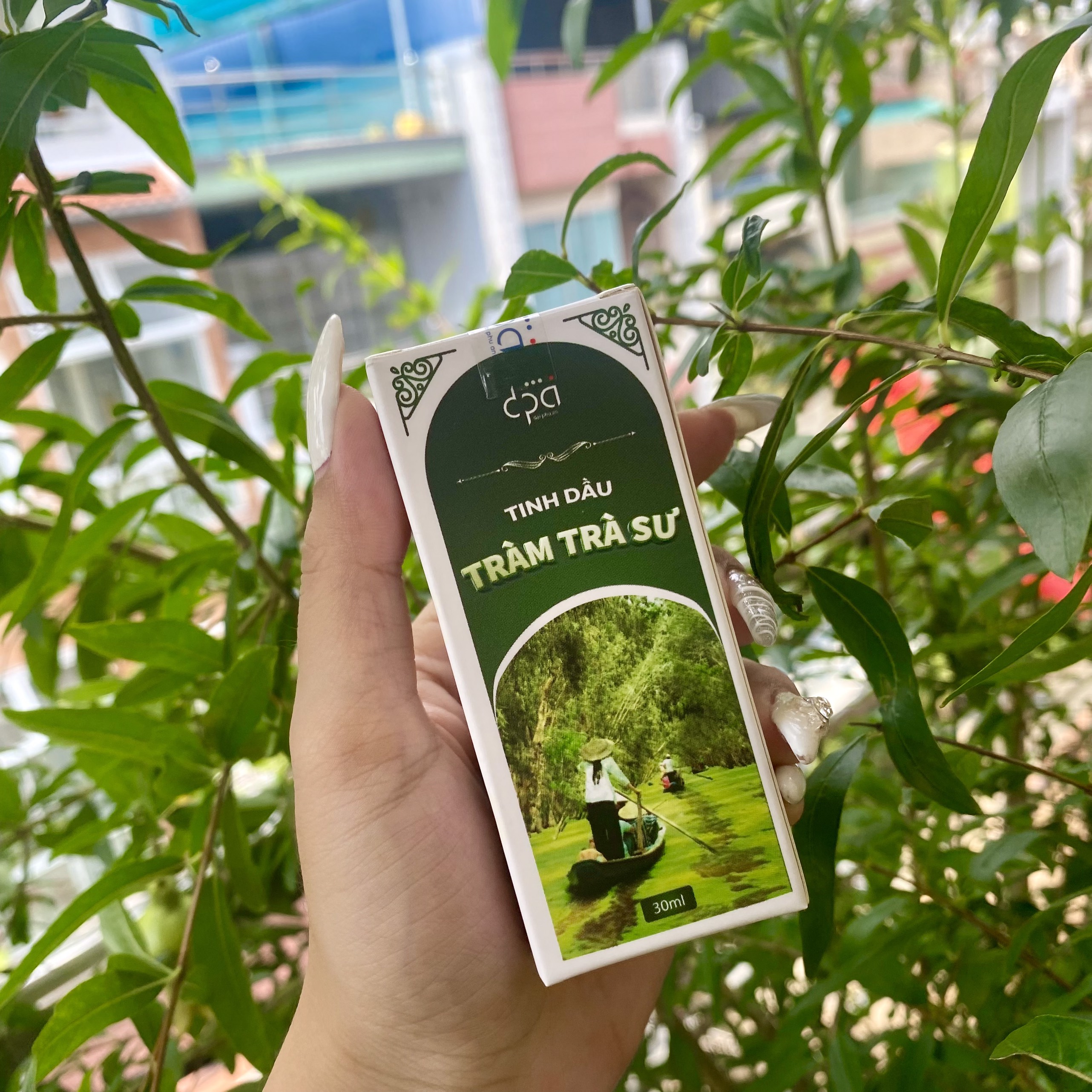 Tinh dầu tràm Trà Sư kì hoa dị thảo