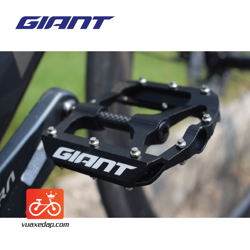 BÀN ĐẠP GIANT – HILL CARBON