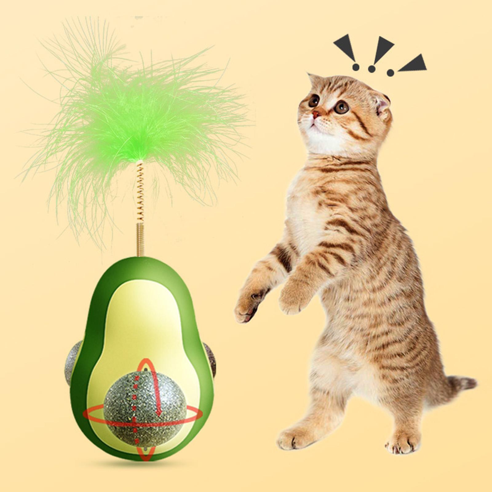 Shape Catnip Balls Tumbler Cat Gift Cat Toys for Indoor Cats Feather Cat Teaser Interactive Toy for Kitten Dog Cat Pet Exercise Toy