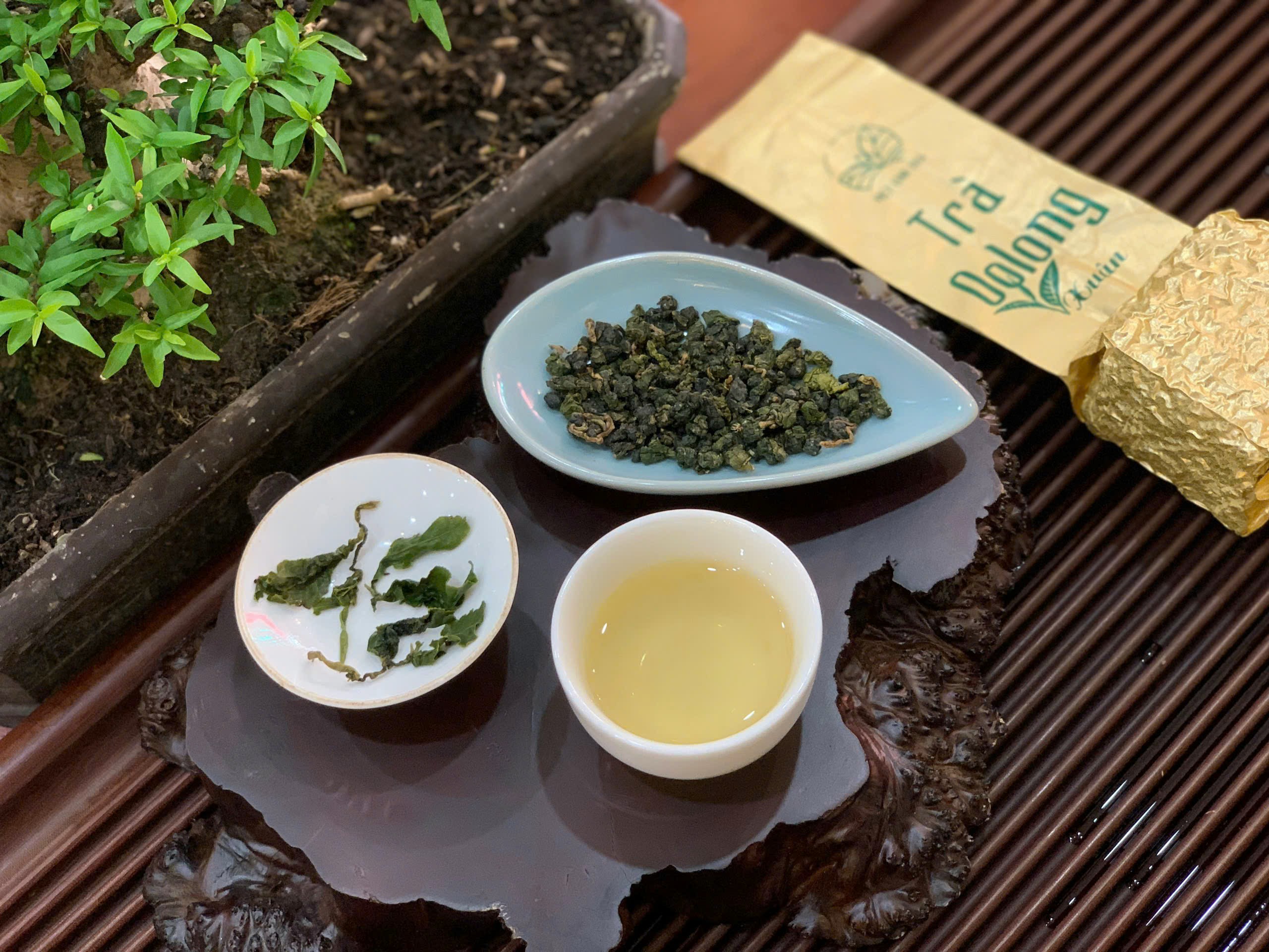 TRÀ OOLONG THUẦN VỤ XUÂN - TRÀ HỖ TRỢ TIÊU HOÁ - ĐẸP DA - ORGANIC OOLONG TEA