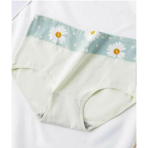 QUẦN LÓT- COTTON GEN NHẸ CẠP CAO thoáng mát 6108 - CHILLHOUSE