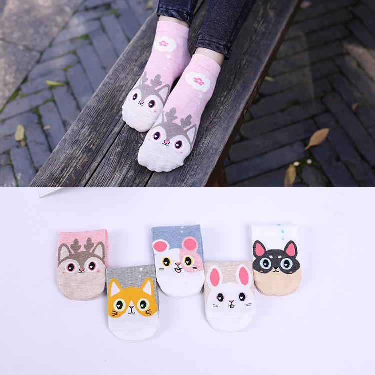 Set 05 đôi tất cổ ngắn