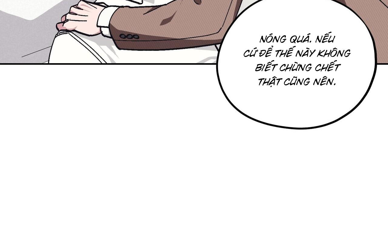 chàng dâu nhà họ kang chapter 31 156