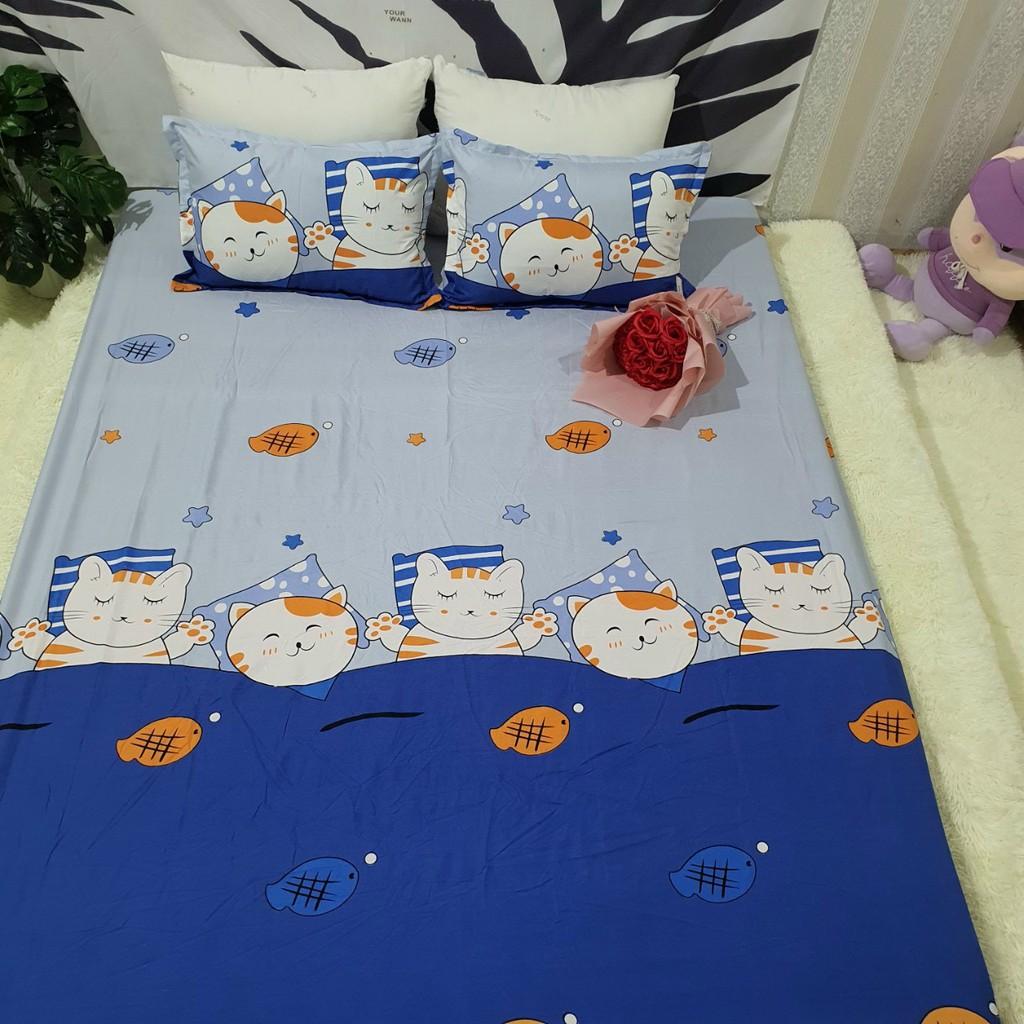 SET 4 MÓN CHĂN HÈ TRẦN BÔNG KÈM GA GỐI COTTON POLY MẪU MÈO CÁ XANH