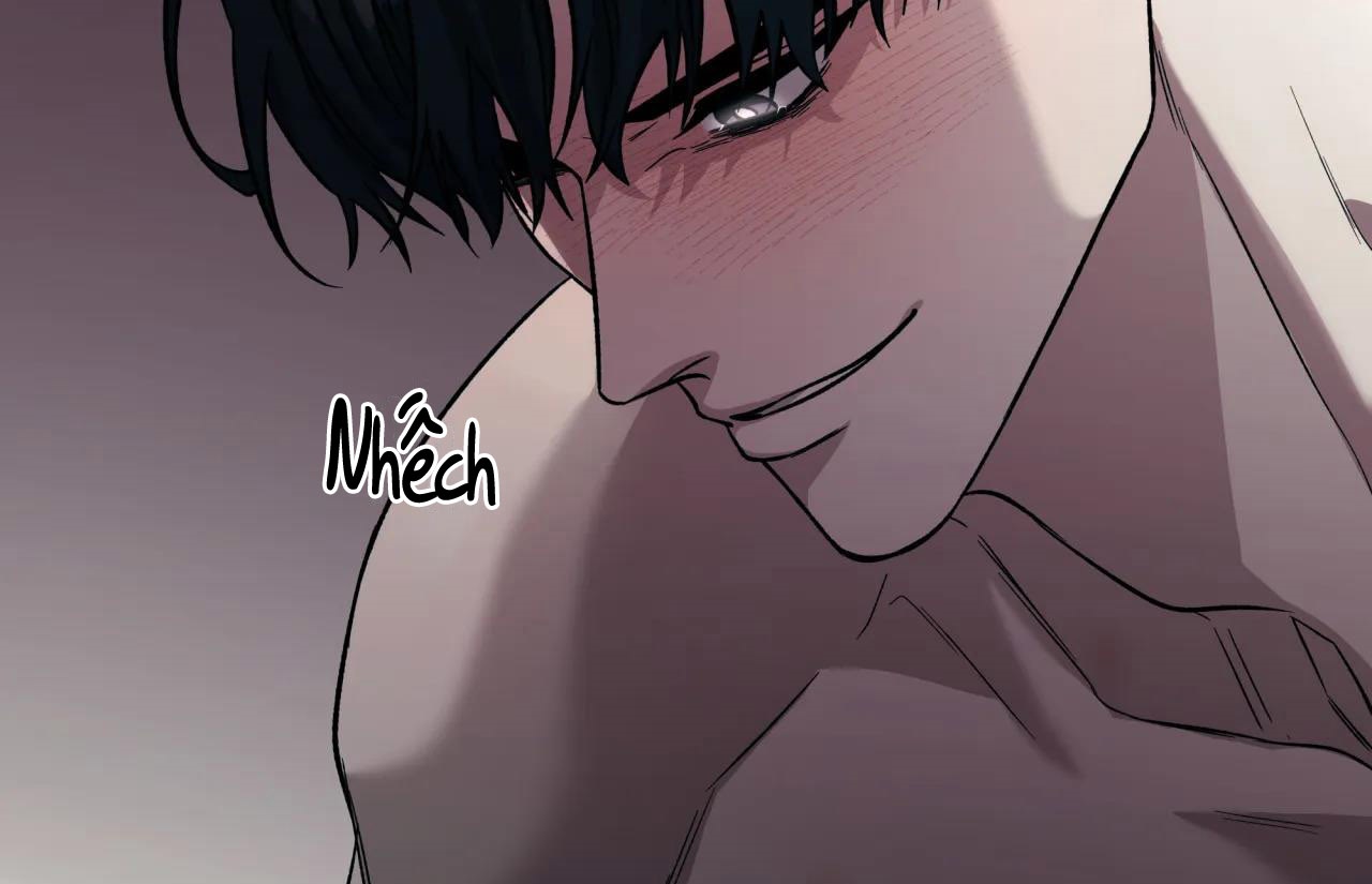 ám ảnh pheromone chapter 50 74