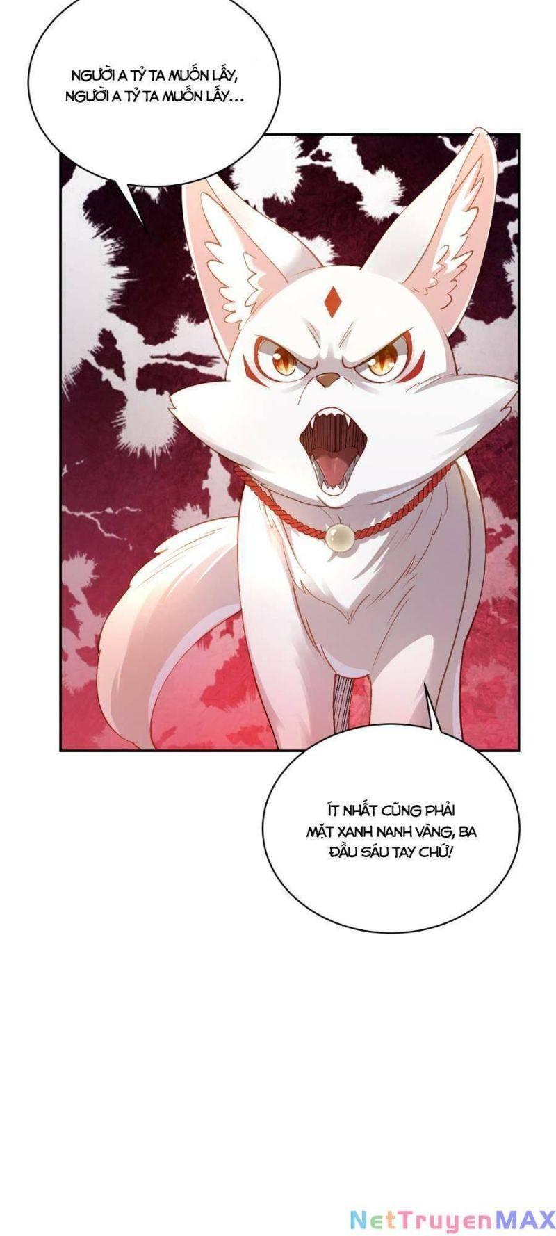 bói toán mà thôi, cửu vĩ yêu đế sao lại thành nương tử ta?! chapter 22 60