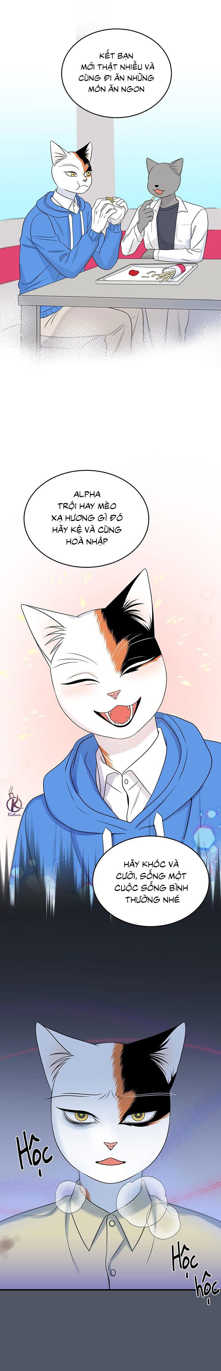 dự án xanh chapter 43 14