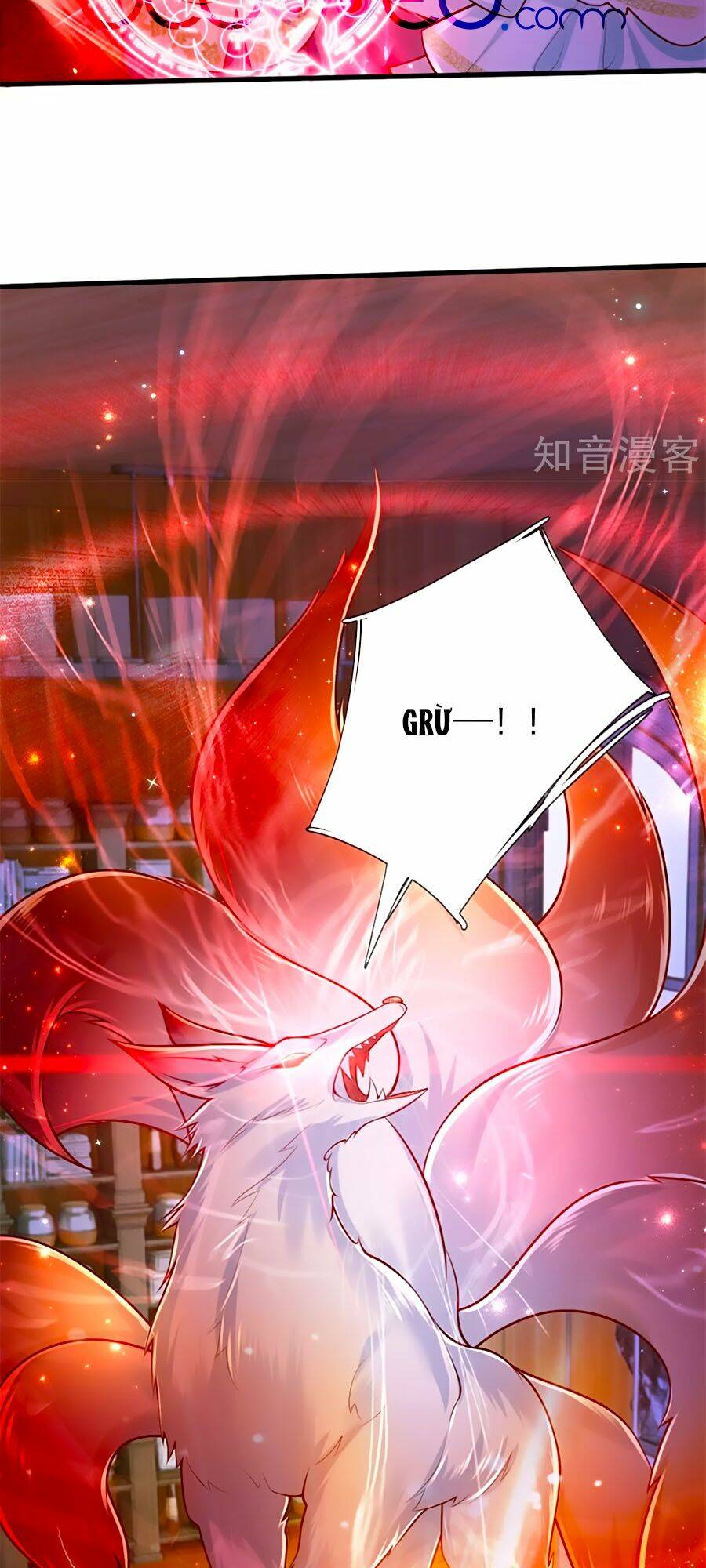 bỗng một ngày trở thành con gái nhà vua chapter 266 18