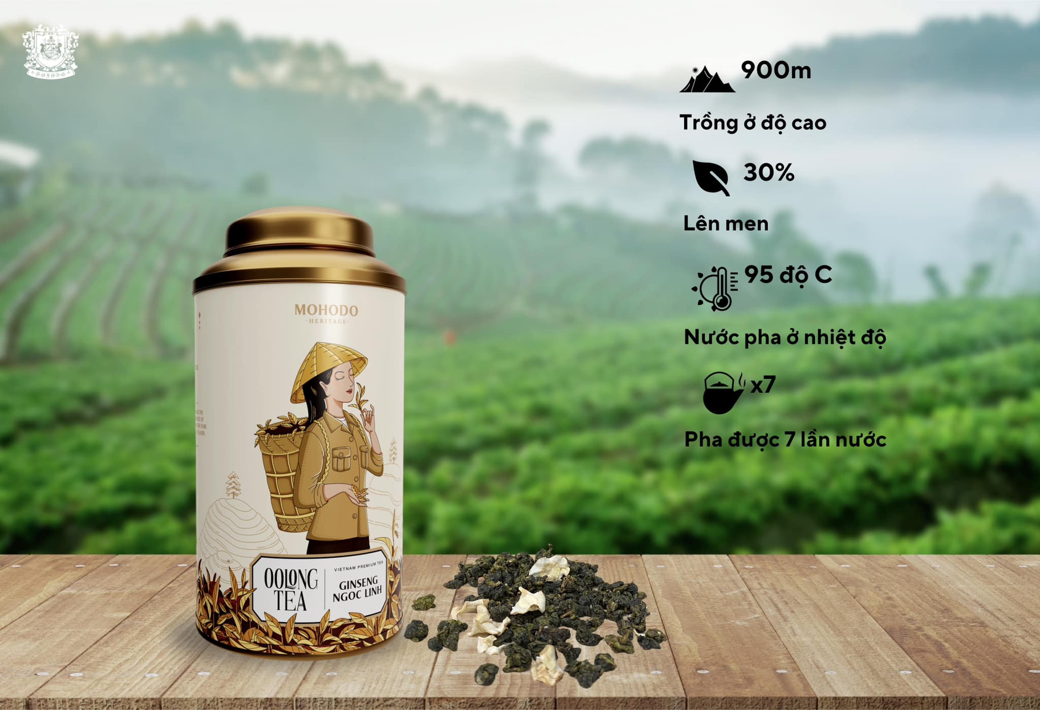 TRÀ OOLONG SÂM THƯỢNG HẠNG- 100G HỘP THIẾC-MOHODO