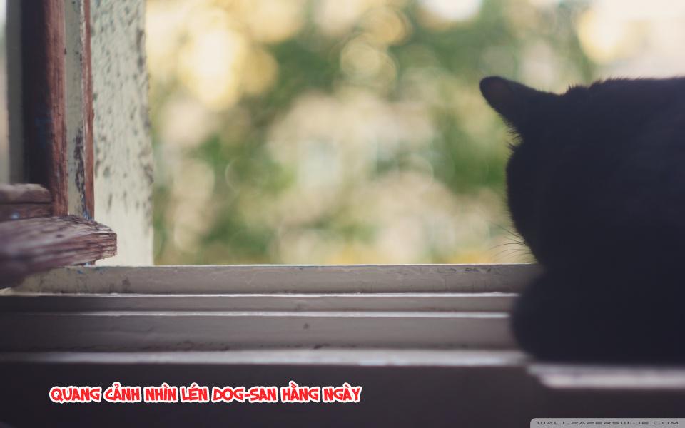 chuyện tình của toono và tamiya chapter 10.1 15