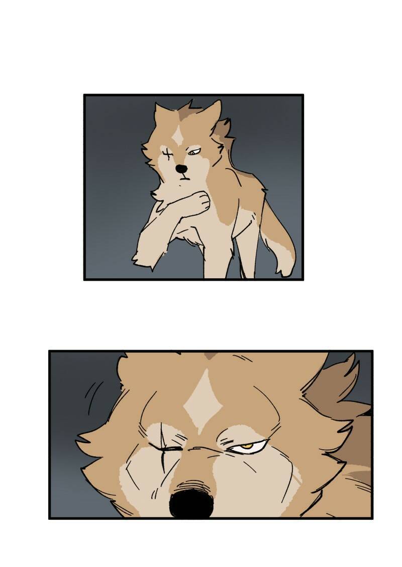 lumine - cội nguồn ánh sáng chapter 148 24