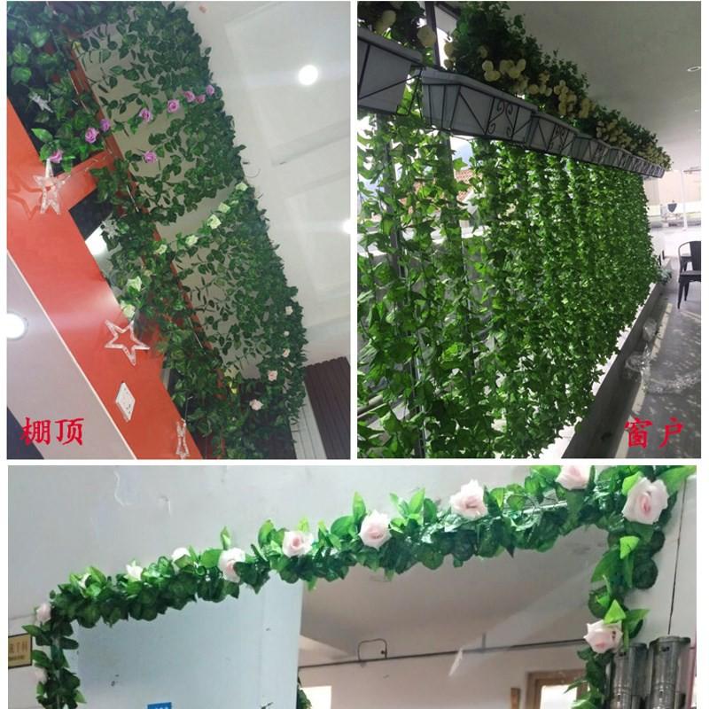 Dây Lá Thường Xuân Dây Lá Nho 2m - trang trí tường rào, giàn hoa, dây leo