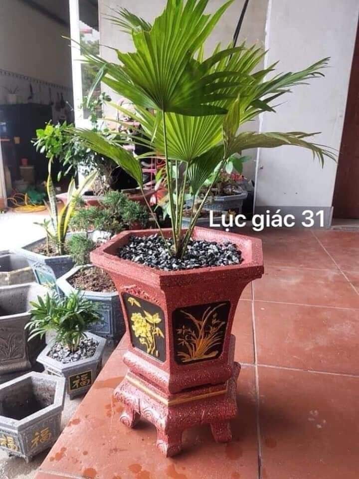 Khuôn đúc chậu cảnh lục giác 31 và chân đôn