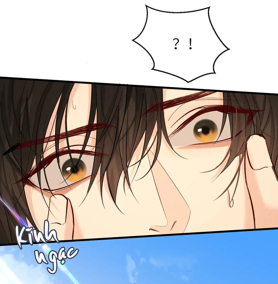 nhân ngư hãm lạc chapter 20 3