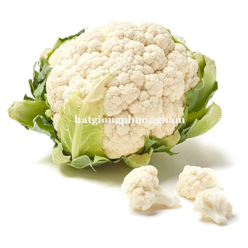 0,5GR - HẠT GIỐNG SÚP LƠ TRẮNG