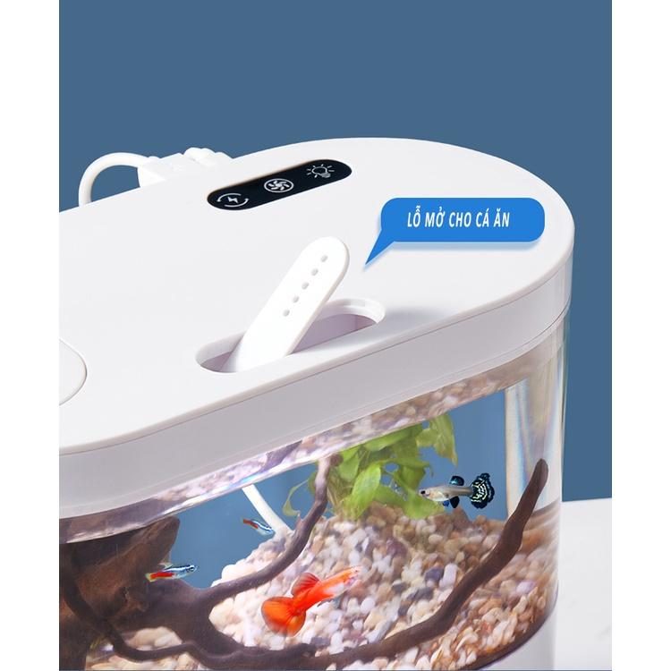 Bể cá thủy sinh mini để bàn làm việc 05