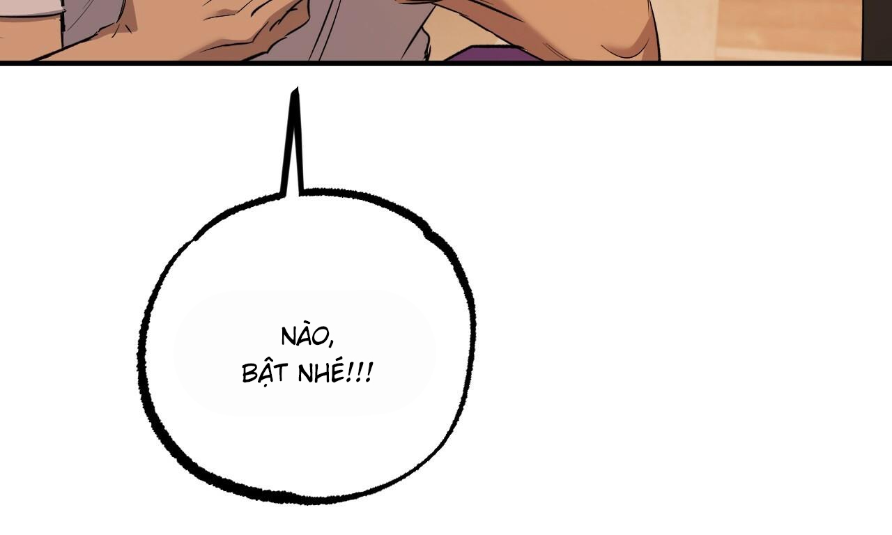 những chú thỏ của hapypy chapter 56 194