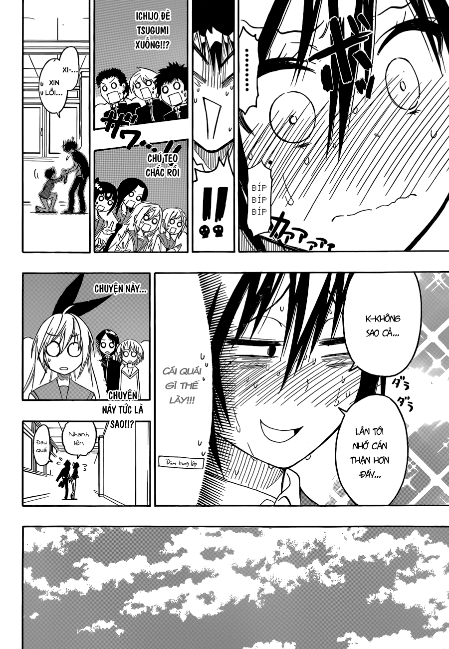 nisekoi - tình yêu giả tạo chapter 70 11