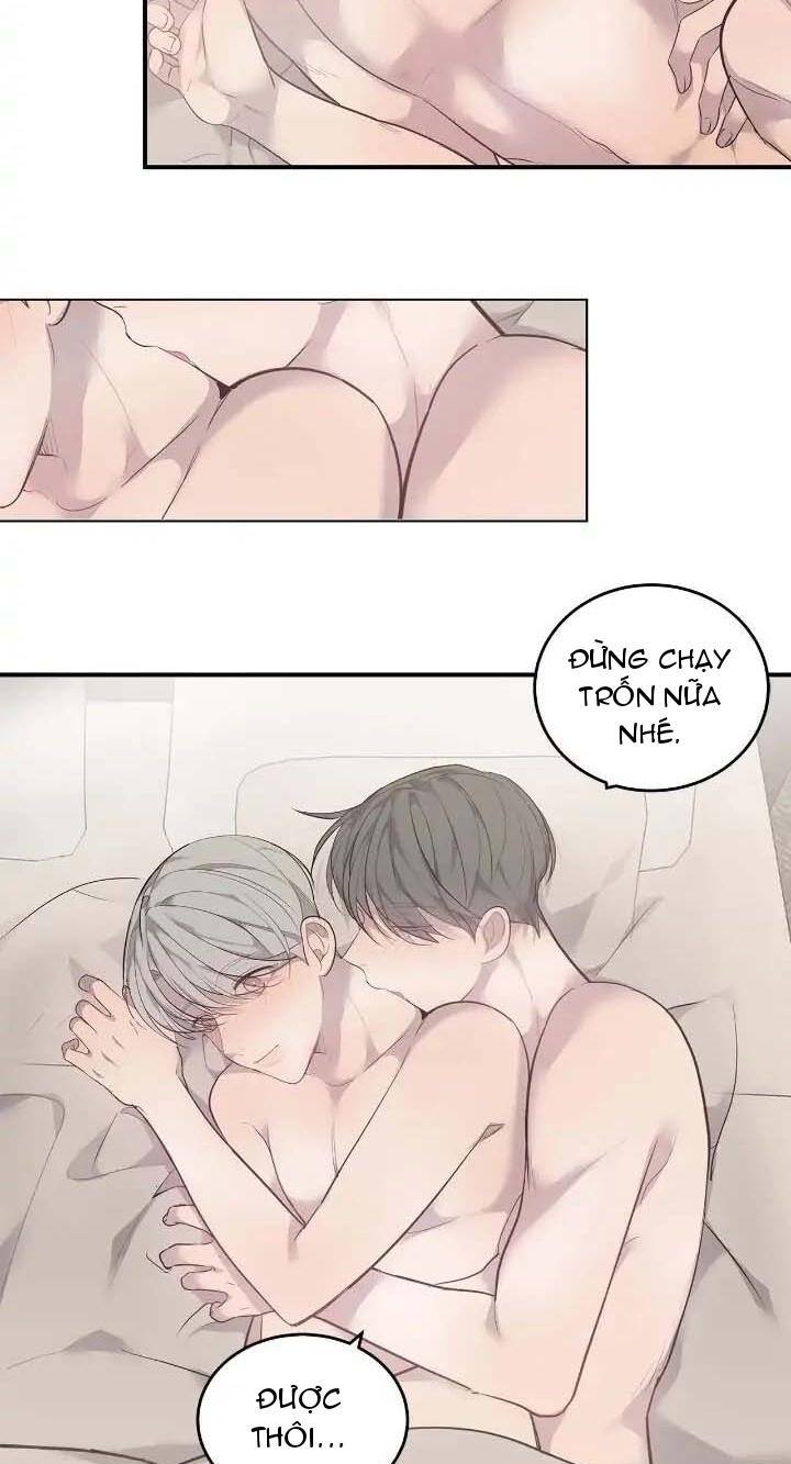 sao notp lại thành thật rồi? chapter 36 17