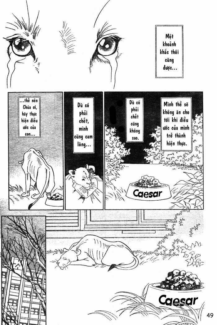 wild cats chapter 1 52