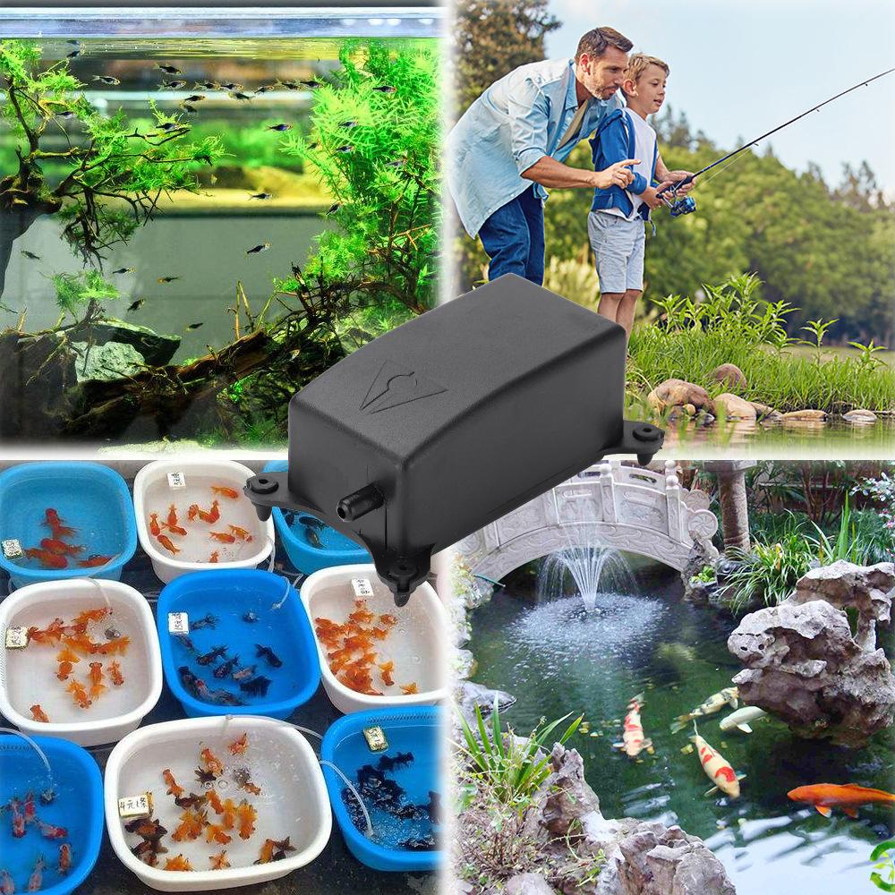 Bộ dụng cụ máy bơm không khí cho bể cá