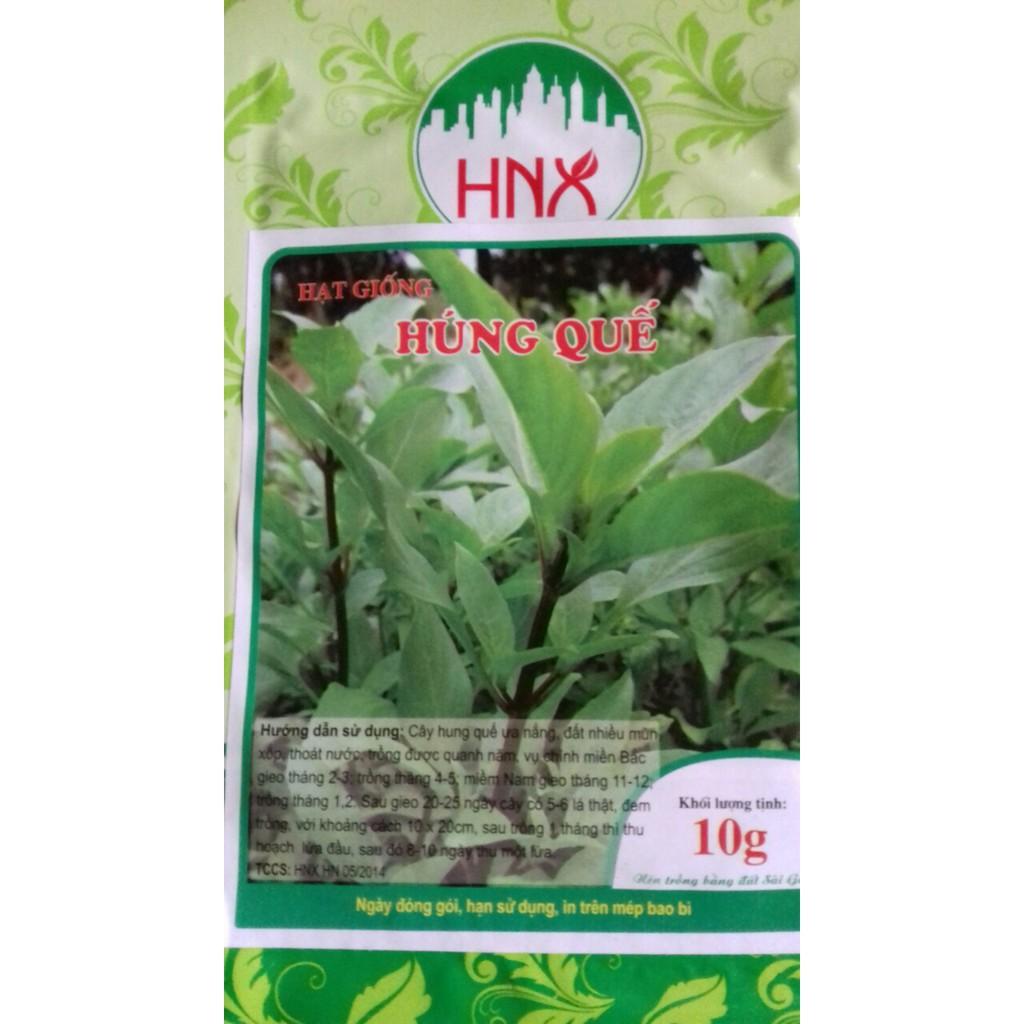 Hạt giống húng quế gói 10g
