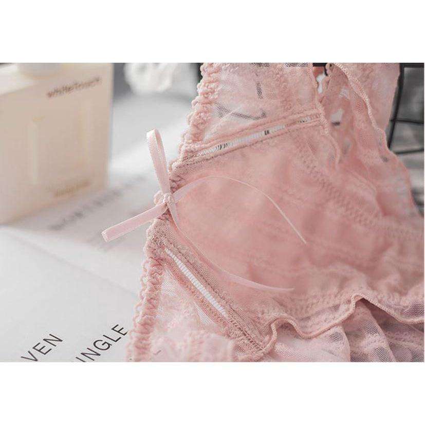 Quần Lót Nữ Cotton Phủ Ren Hoa Xuất Đông Âu . Hàng Săn SALE.