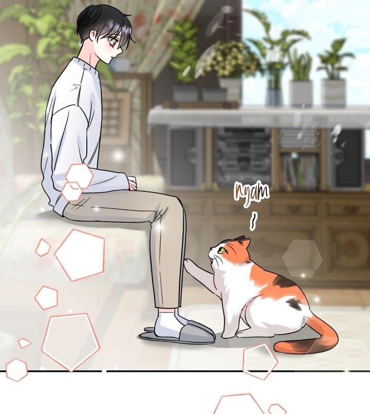 xác suất tình yêu chapter 50 23