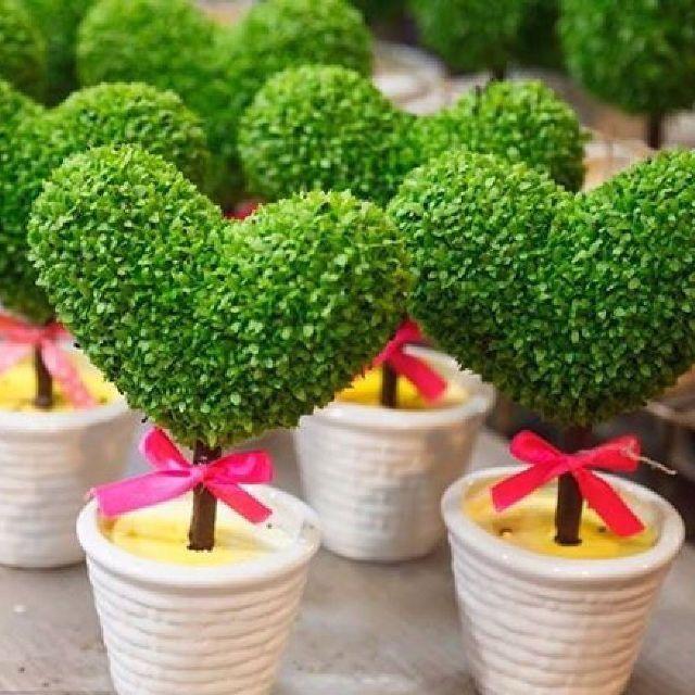 Hạt giống cỏ, cây may mắn