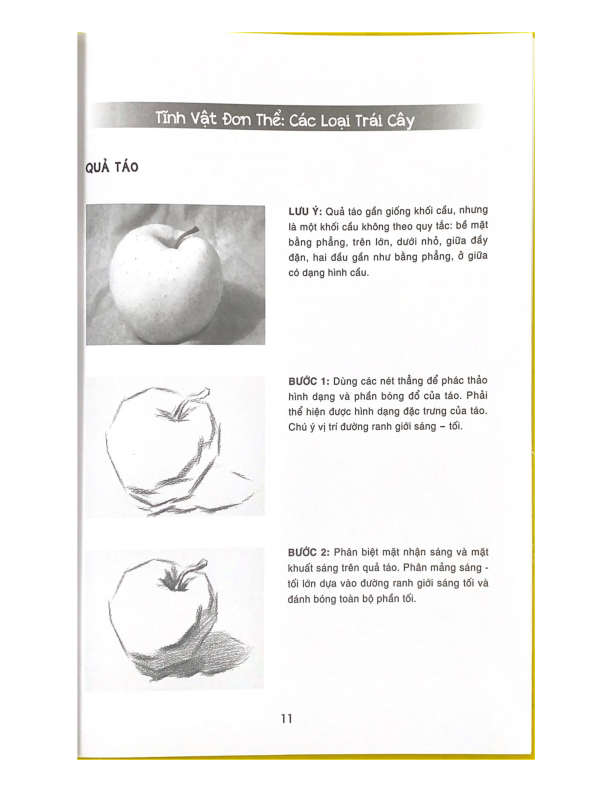 Bí Quyết Hội Hoa - Phác Họa Tĩnh Vật - Vanlangbooks