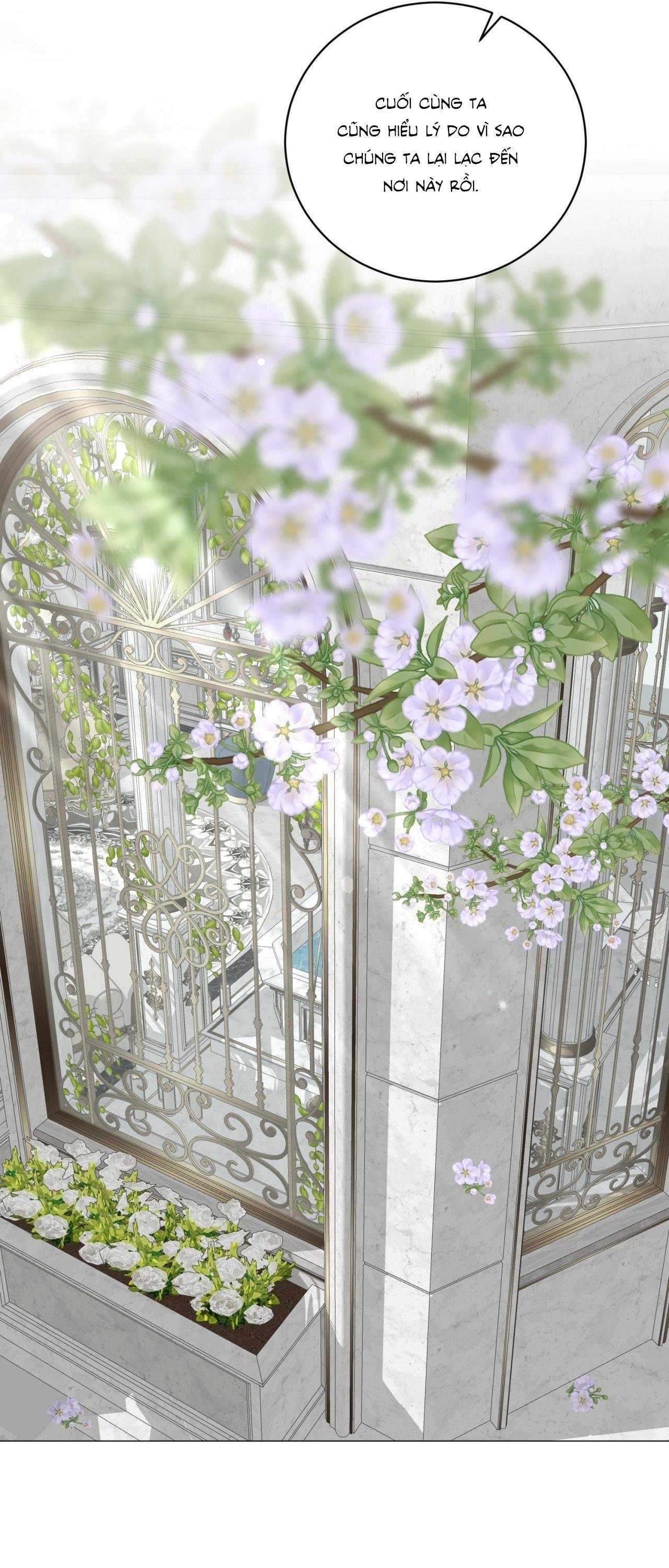 ảo ảnh chapter 33 42